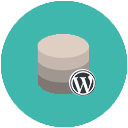 WordPress Database Migration Services
