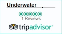 TripAdv-widgets.png (996×808) 2025-01-17 at 4.04.10 PM