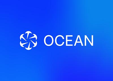 JOINT STATEMENT OF OCEAN AND LUKE DASHJR