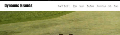 dynamic-brands-home