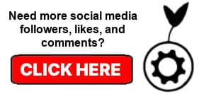social growth engine