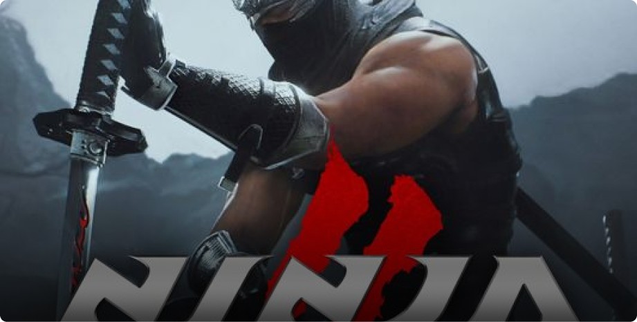 Ninja Gaiden 2 black